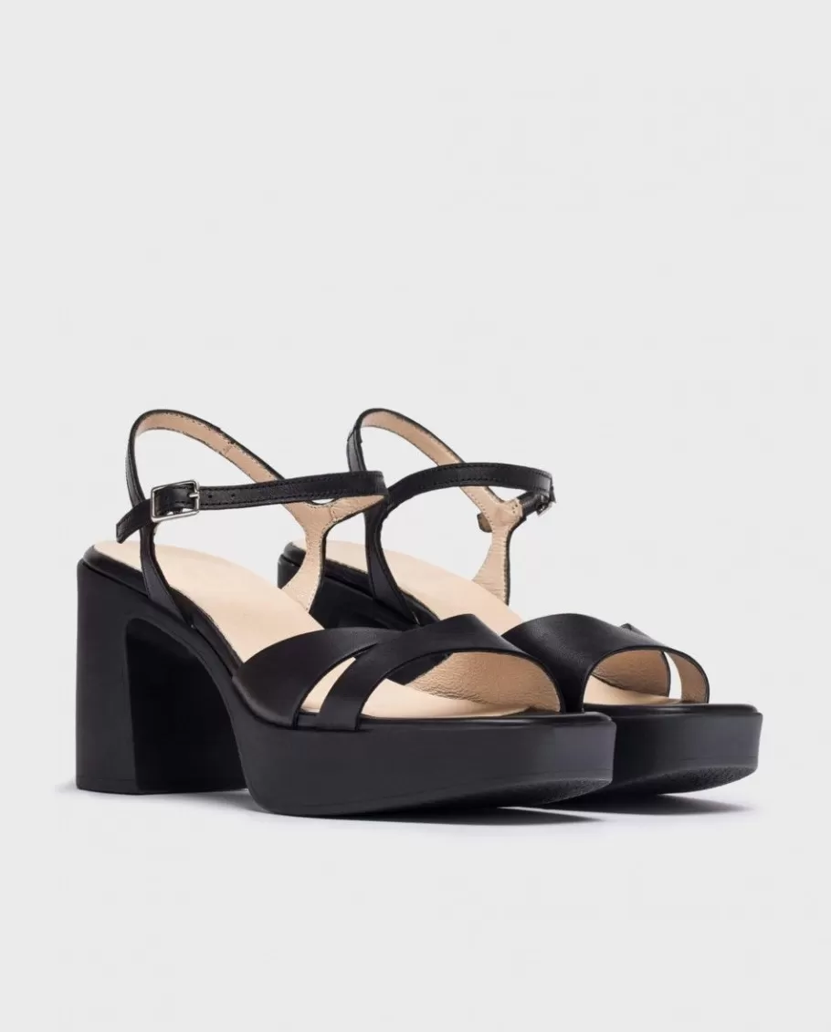 Wonders Heels<Black Isabel Heeled Sandals