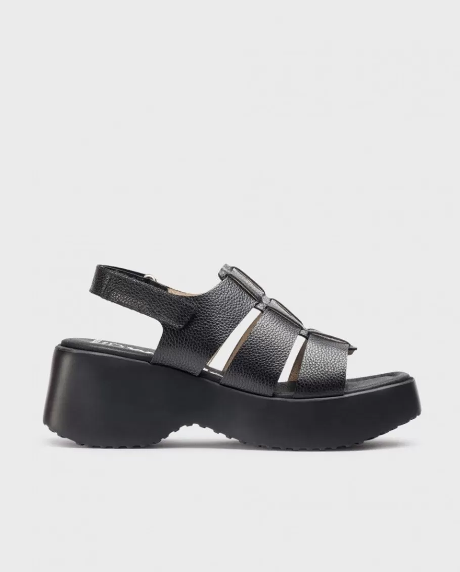 Wonders Sandals<Black Nora Sandals